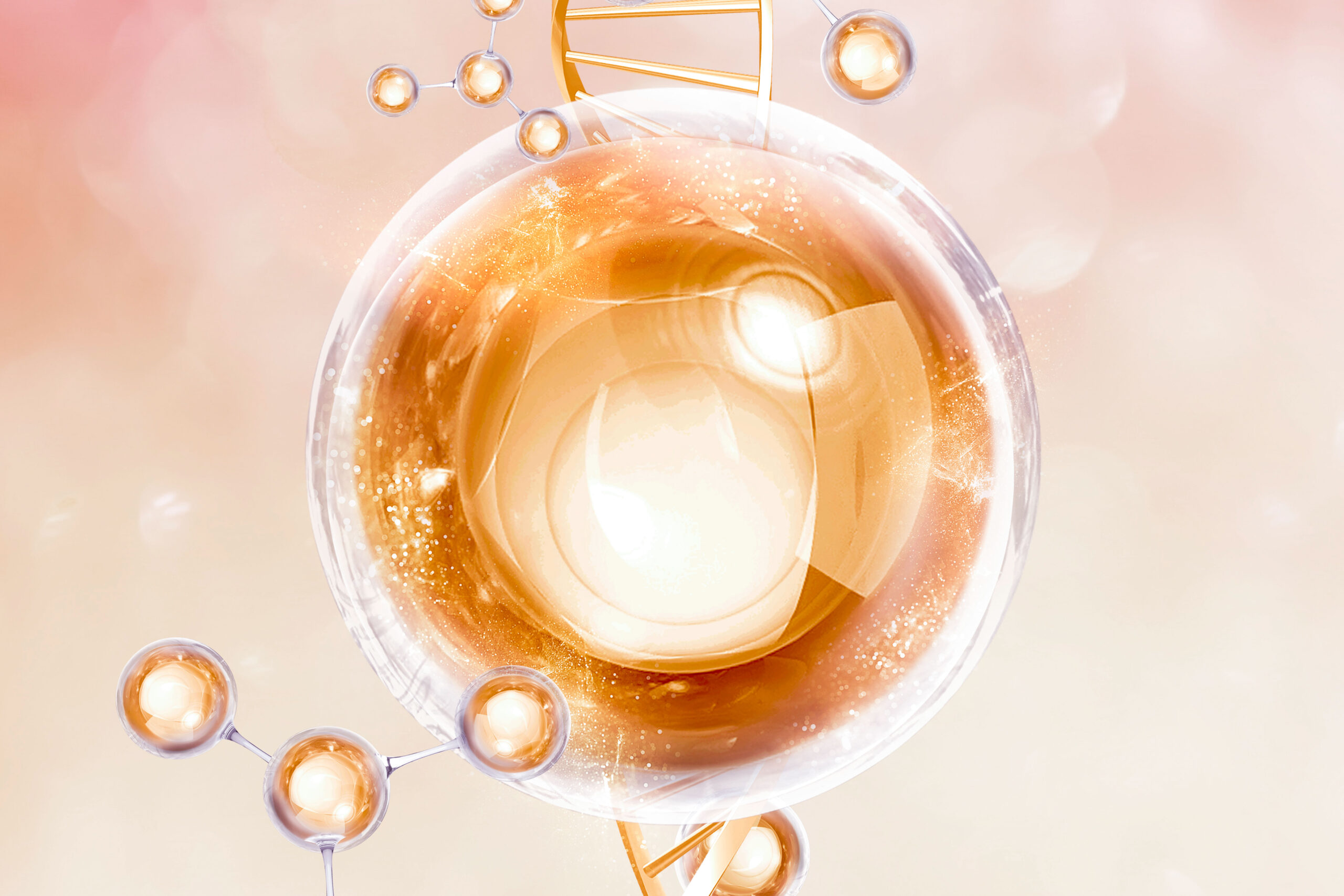 Bioestimulador Dura Mais? Entenda Como O Colágeno É Estimulado Ao Longo Do Tempo